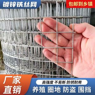 Anti-Rust Galvanized Steel Wire Mesh Balcony Orchard Poultry Fence Guardrail Net Breeding Net Fence Chicken Anti-Rat Wire Mesh