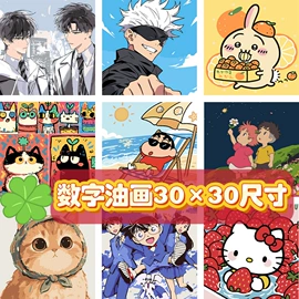 DIY/数字油画;现代装饰画