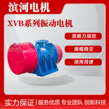 VB-130754-Wϵ���񶯵�����������ʸ߼���XVB-130-4