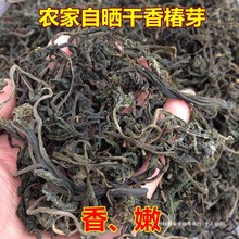 干香椿芽湖北襄阳土特产农家自制头茬晒干的野生嫩香春菜干货500g
