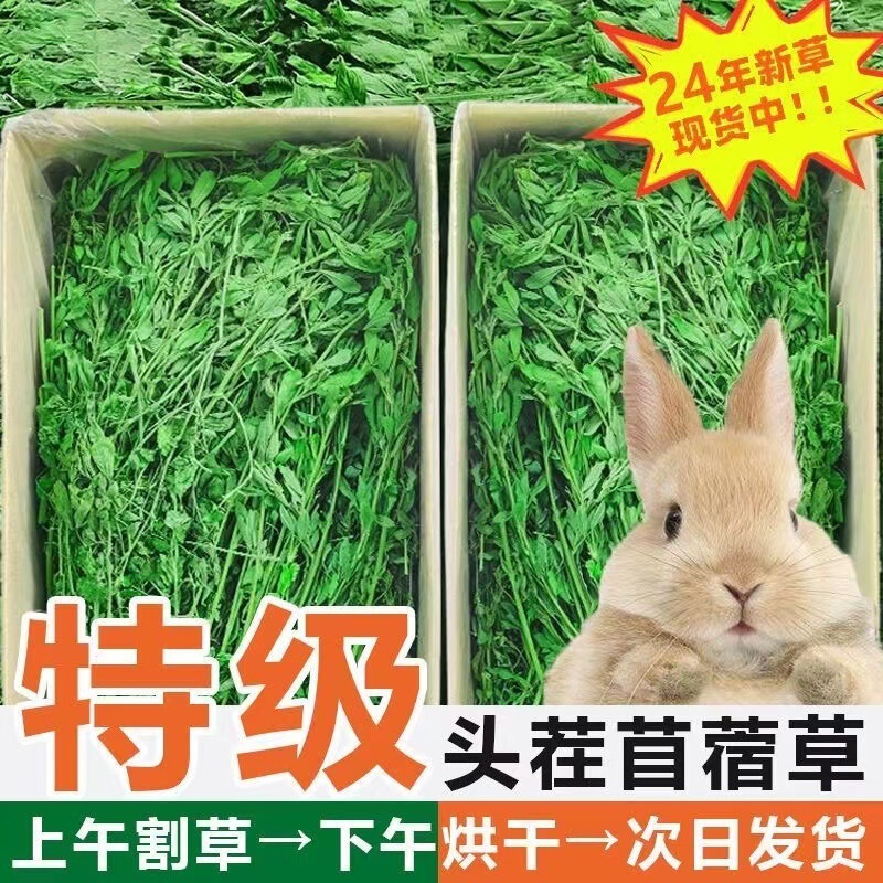 Freshly Dried Alfalfa Grass Purple Flower Rabbit Purple Hay Young Rabbit Chinchilla Guinea Pig Guinea Pig Pasture Alfalfa Grass Aliexpress