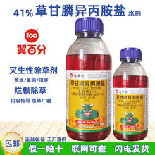 41%ݸ좮}ݠĵع@sţݚƷrș