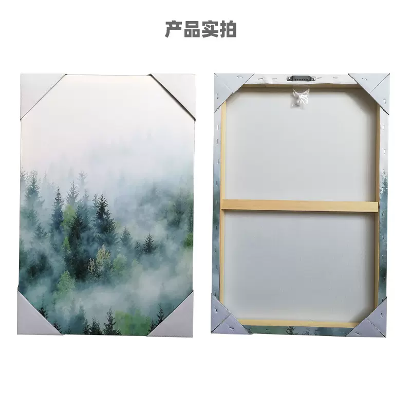 客厅装饰画简框画酒店公寓现代简约挂画餐厅卧室壁画无框画定制