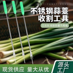 Stainless Steel Garlic Sprout Tool for Agricultural Use, Garlic Sprout Knife for Harvesting and Peeling Garlic Sprouts, Household Garlic Sprout Harvesting Knife