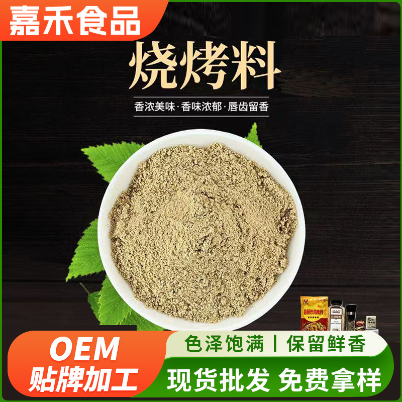 加工烧烤粉烤肉专属蘸料餐饮连锁专用羊肉串串香鸡排炸串撒料