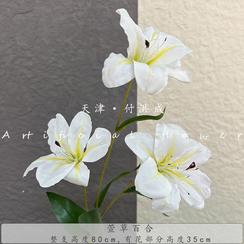 헤메로칼리스 백합