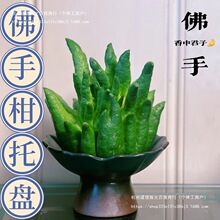 ��ʽ�ŷ��ָ��бP�մ�ˮ�໨ƿ���ֵ�[�ŷ��ֹ��^�p�[����������