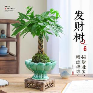 l̦ؔ\ˮGֲ҃ʽU辰ؔļB