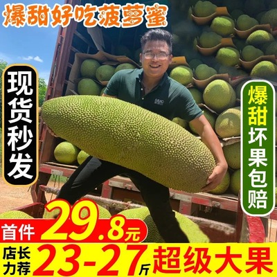 现摘现发海南三亚菠萝蜜包邮新鲜水果当应季水果一整个黄肉波罗蜜