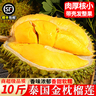 ��S����̩��������ɏ�����M�����rˮ������������ɏ��һ�������]