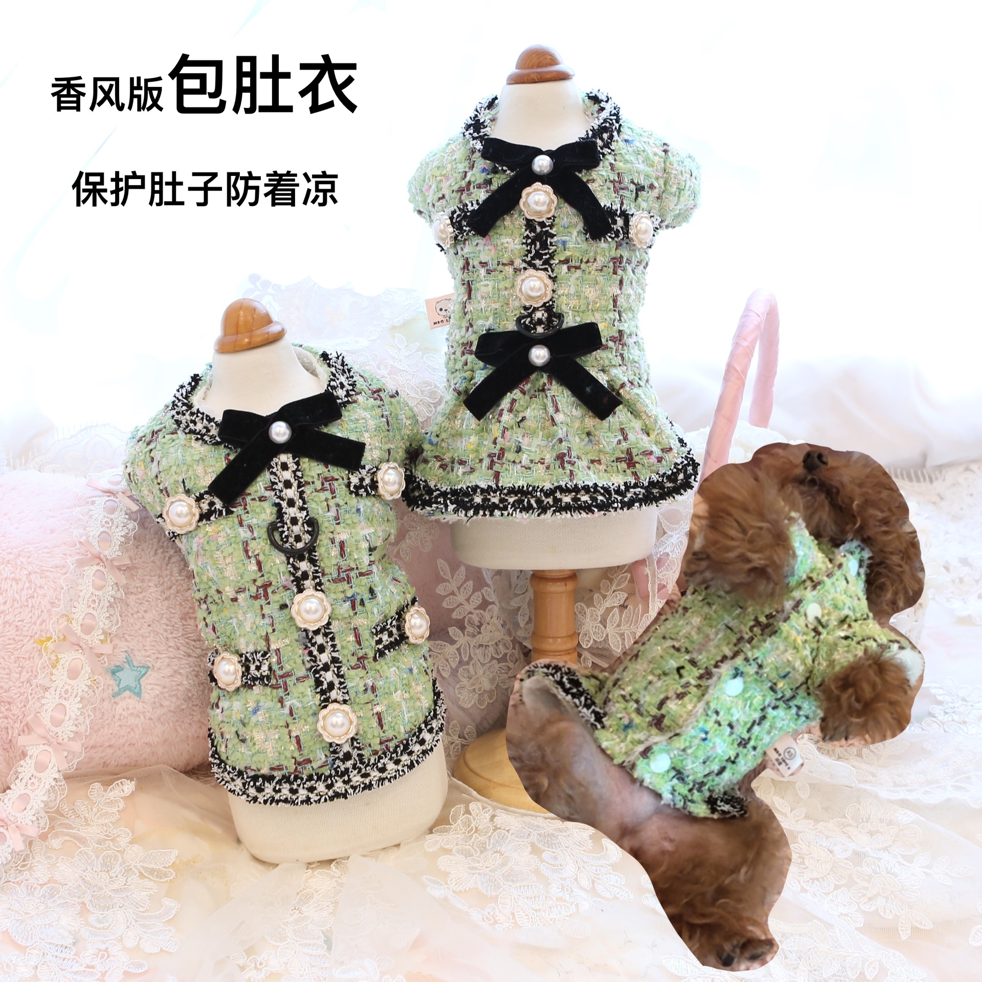 秋冬厚款狗狗公主裙子泰迪比熊博美约克夏雪纳瑞小型犬宠物衣服