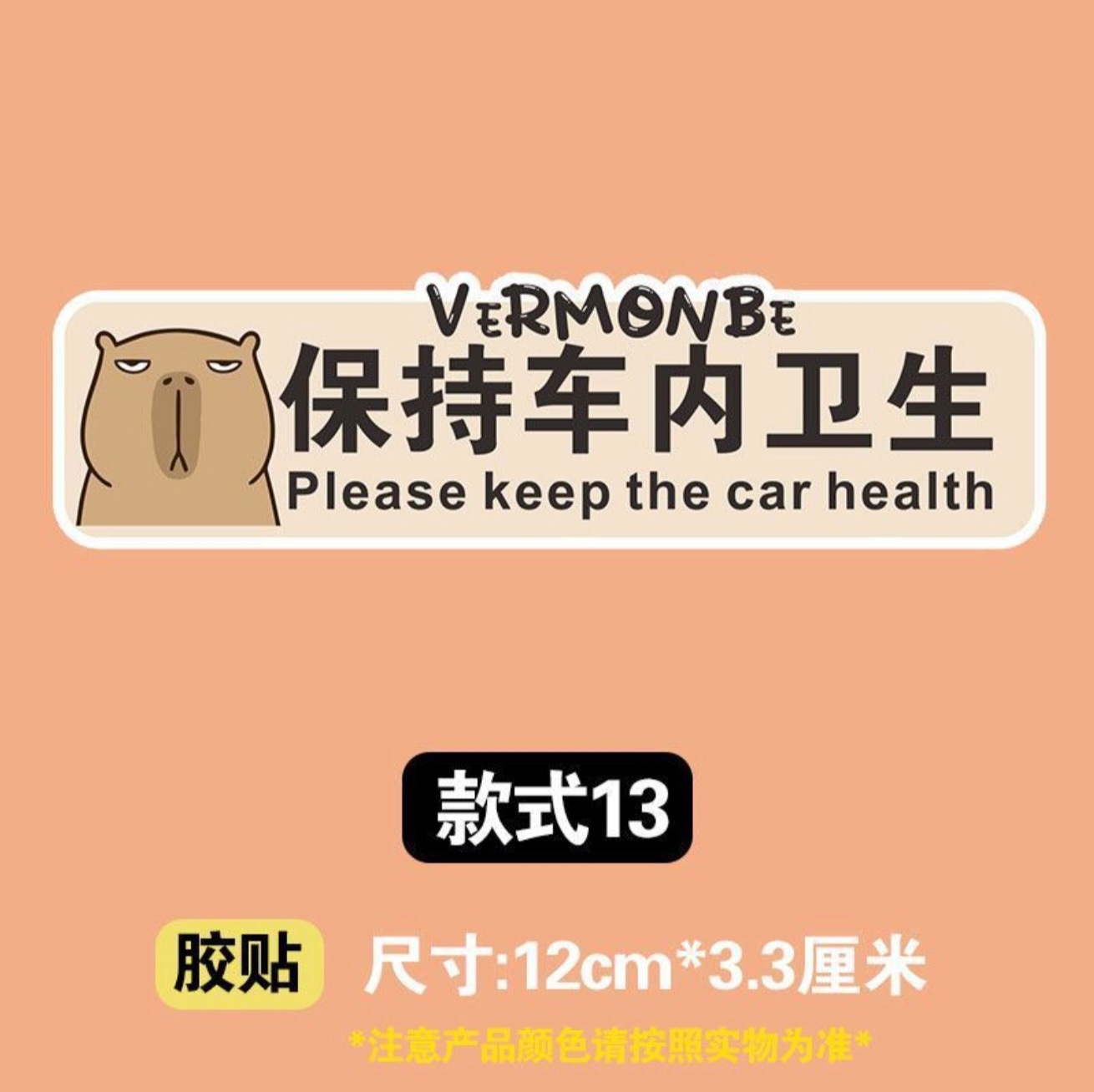 Maintain hygiene in the car