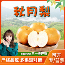 xɽ| l3/9ˬ֭rժЋDˮ