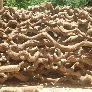 һ�����l�^������ɽ�ٗ�Ϣ��ܛ�b��Ȼ�� �x�B�`֥ ��Ȼ ľ�| ��Ȼ