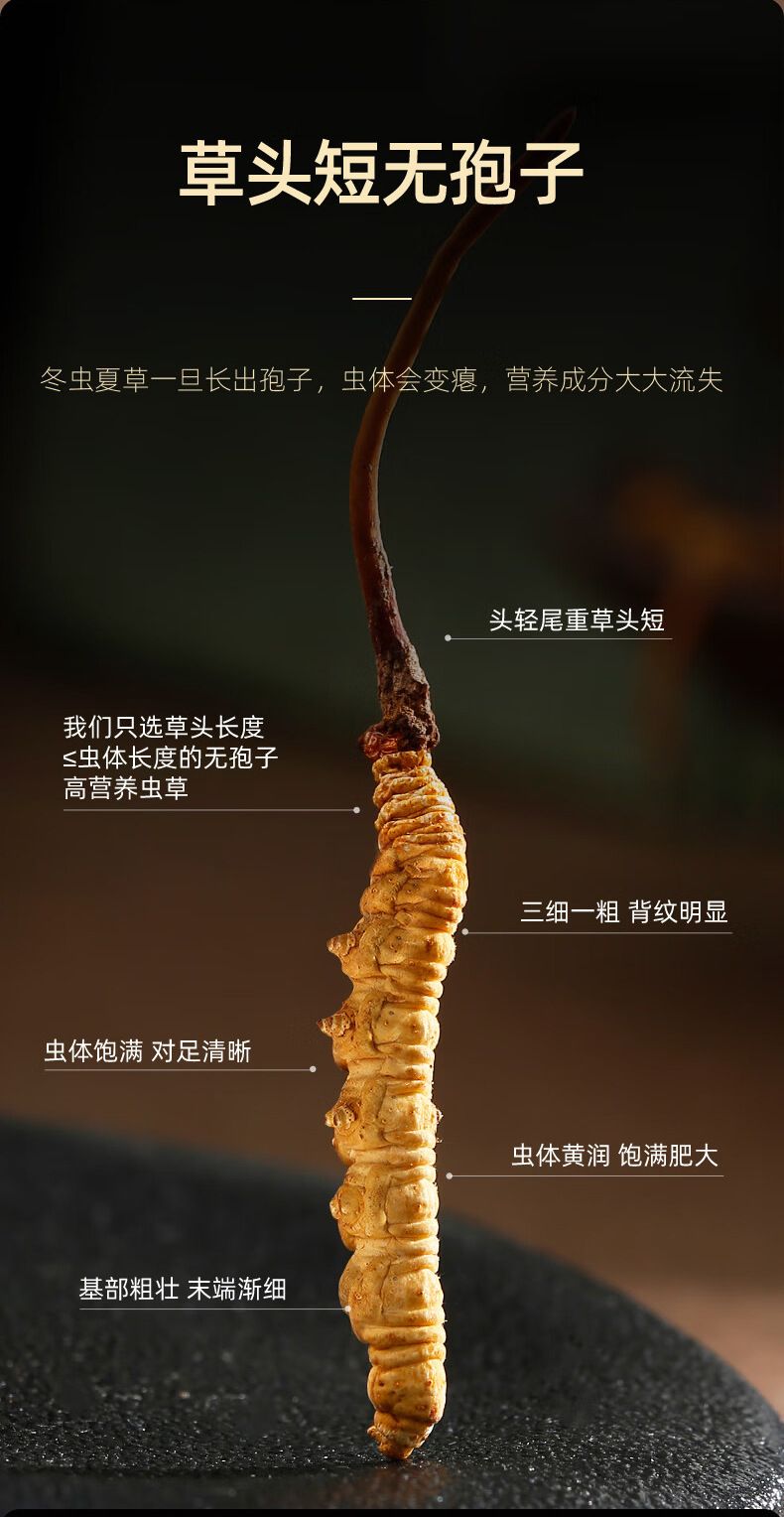 Premium Cordyceps Sinensis Dried Herb 1g Box 5 Stems Whole Fruiting Bodies for Traditional Soup and Decoction specifications