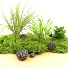 ����̦�\��Ƥ�쾰��������̦΢���^���Ô[����ƺ�辰��������b�