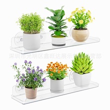 Сֲ̖P ҃ȷN ݱֲNֲ