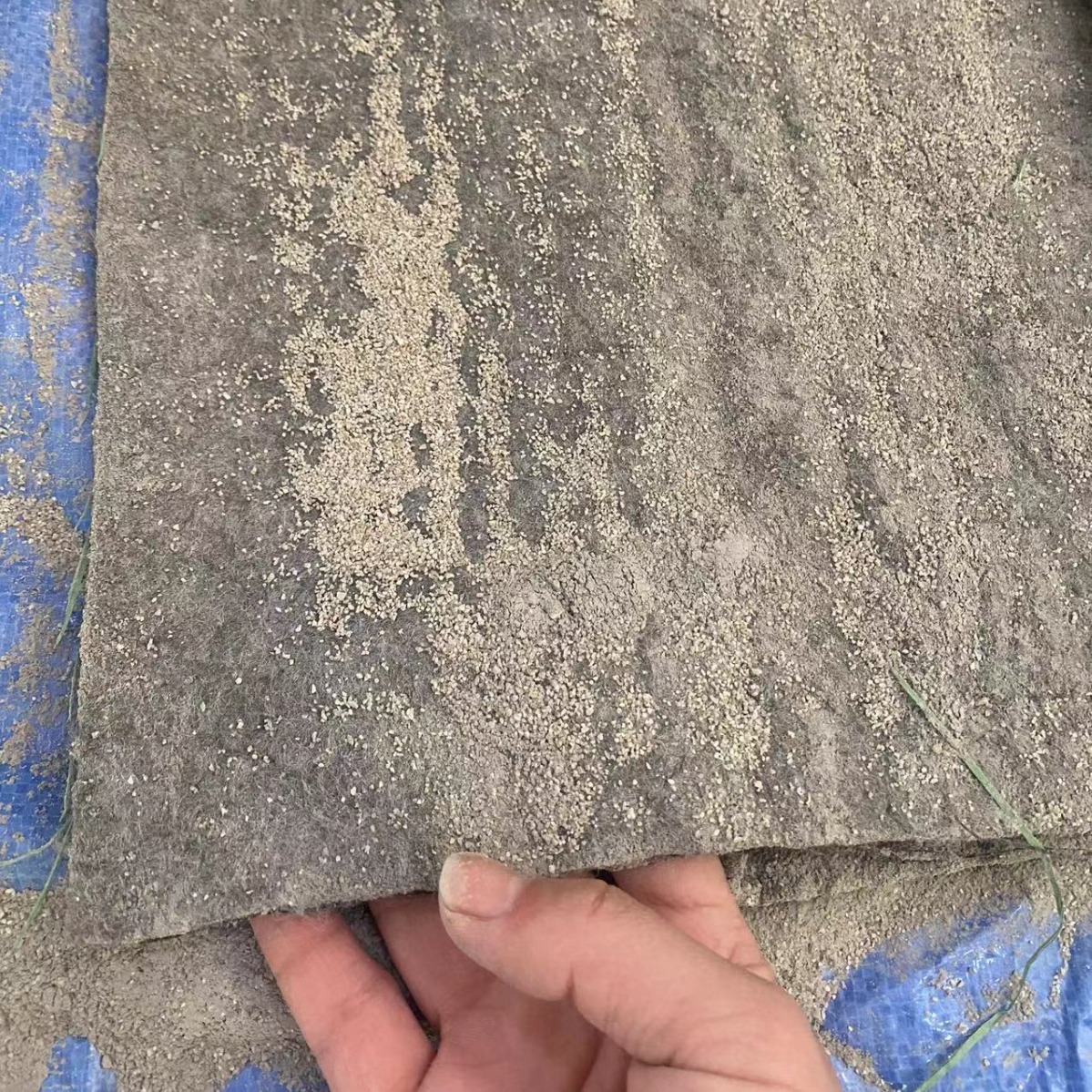 2024-02-25 09:03:34.jpg