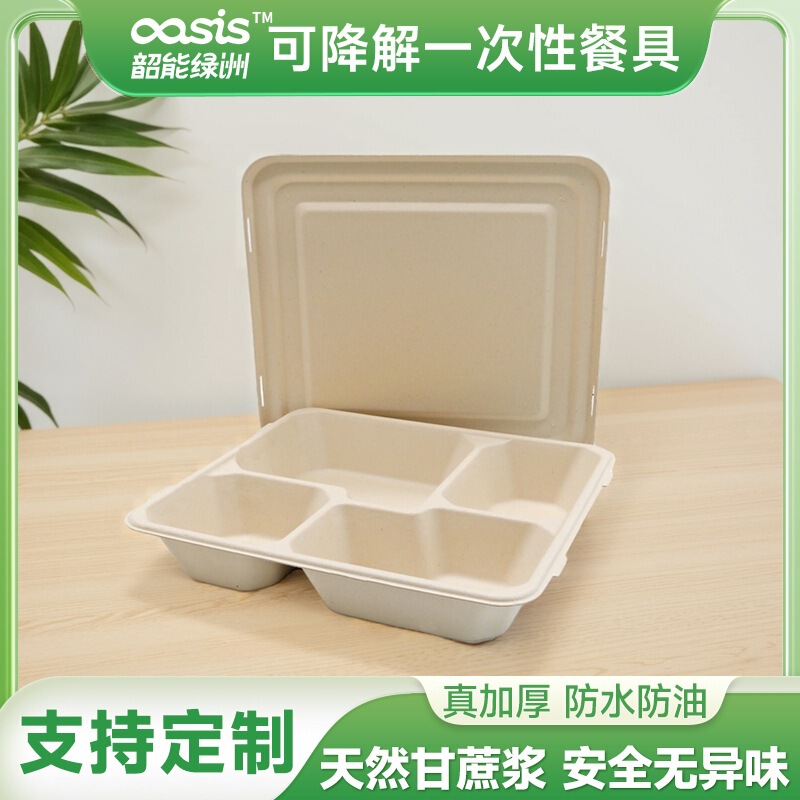Shaogeng Oasis sugarcane pulp bamboo pulp disposable environmental protection tableware support split four-grid degradable compostable