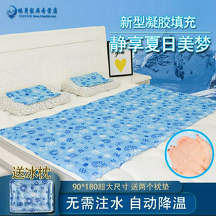 Summer Gel Ice Pad Water-Free Mattress Single Student Dormitory Car Cooling Home Double Ice Mat Leidezhu
