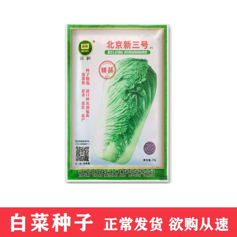 鳳鳴雅世 北京新三號大白菜種子 20g 四季農家蔬菜種子菜種籽批發