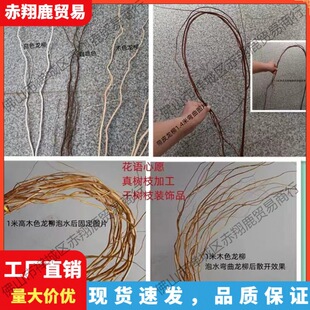 ��Ȼ���B��Ȼ̼��ɫ��ɫ�廨ƿ��ؙ���������֦��֧�ɻ���֦���U