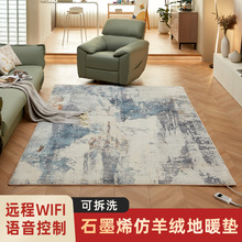可拆洗电热垫地暖垫电热地毯客厅取暖器加热垫地毯欧式奶油风