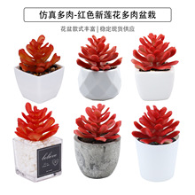 仿真多肉 红色新莲花盆栽桌面摆件礼品迷你绿植盆景TEMU仿真植物