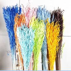 Dried Flower Oat Natural Oat Spike Material Decorative Dyeing Flower Materials Flower Bouquet Matching Flowers Preserved Flowers Wholesale Factory Direct Sale