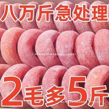 广西桂林降霜柿饼农家自制柿子饼流心柿子干非富平吊饼一整箱