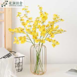 ��֦�zƬ�ָ������m ����ٻ��Ҿӻ�c�ӔzӰ�����bɻ�ˇ�[��