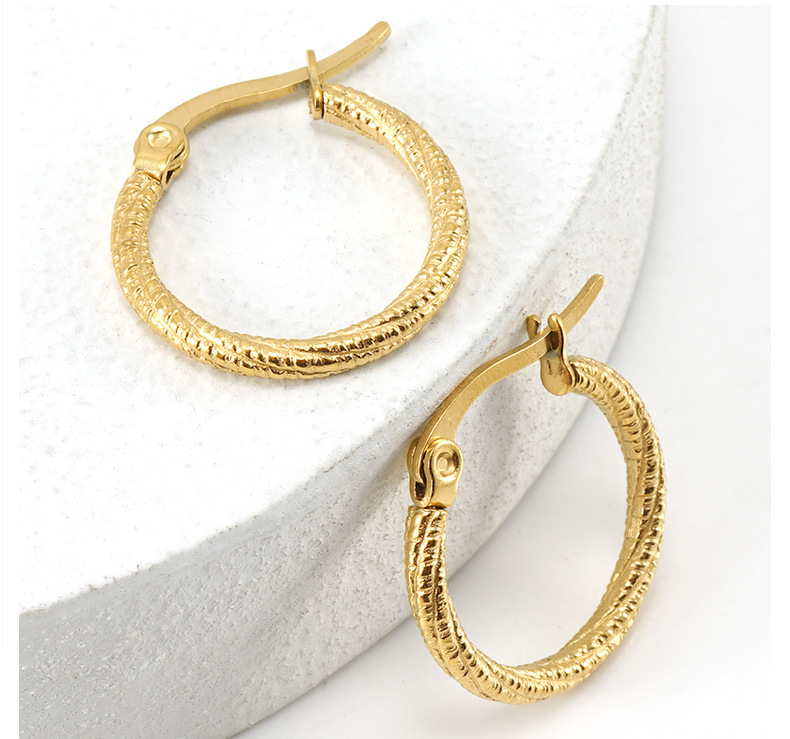 Fashion Circle Stainless Steel Hoop Earrings Gold Plated Stainless Steel Earrings display picture 2