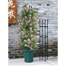 ̨ټ܈@ˇL܇Fɏٱ¼ܻӻ֧