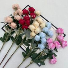 ����7�^�ᭇĵ���ٻ���c�bzӰ���߷���·���S�����l���ڻ���