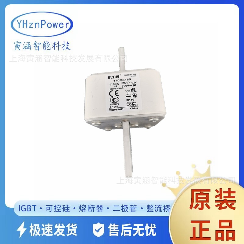 170M3812 170M3812D快速熔断器/保险丝100A 700V  原装现货