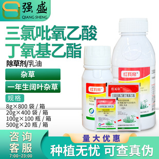 �t�ߵ������������ᶡ����������С��������Ǹ����s�ݳ��݄��rș