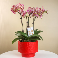 ���W���s�մɻ�����øߙn�p�ݿ͏d�lؔ���ޥ�m�����m���ô�ڏ�