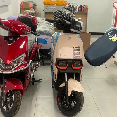 Electric vehicle seat cushion cover, sun protection Electric car cushion - size-medium-sized-pedal-seat-cover-shipped-from-shandong-available-for-immediate-delivery-color-guo-jixiang-ping-an-warm-in-winter-cool-in-summer-no-pilling-send-directly