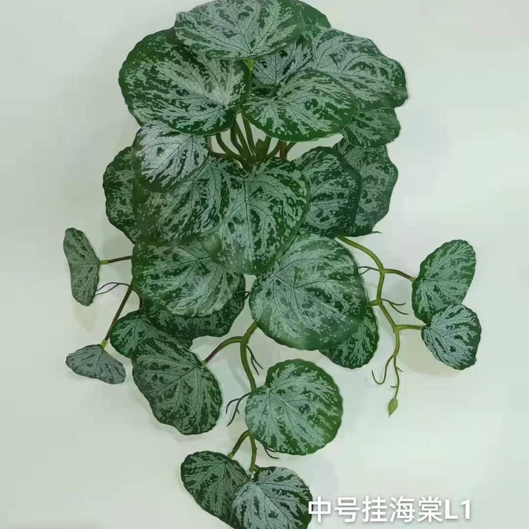 거울, 잎사귀, 조개껍질, 벽걸이 녹색 식물, 웨딩 장식, 장식용 잎사귀, 녹색 식물 잎, 고도로 사실적인 모형 잎사귀
