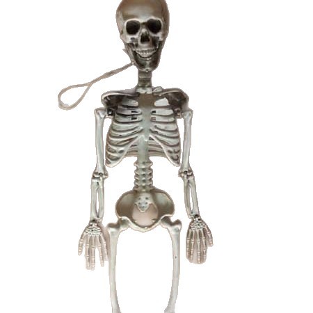 Halloween horrores props 90cm esqueleto humano simulado estante esqueleto de plástico sala secreta adornos de cadáver seco horrores