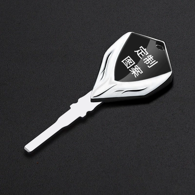 KTM 790 Duke/790 Duke | Motorcycle Key - for-custom-logo-requests-please-contact-customer-service