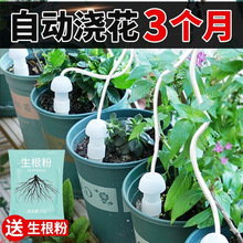 �Ԅӝ��������˝�ˮ��������ֲ��ι��Bˮ����������̨�Ԅӵ�ˮ