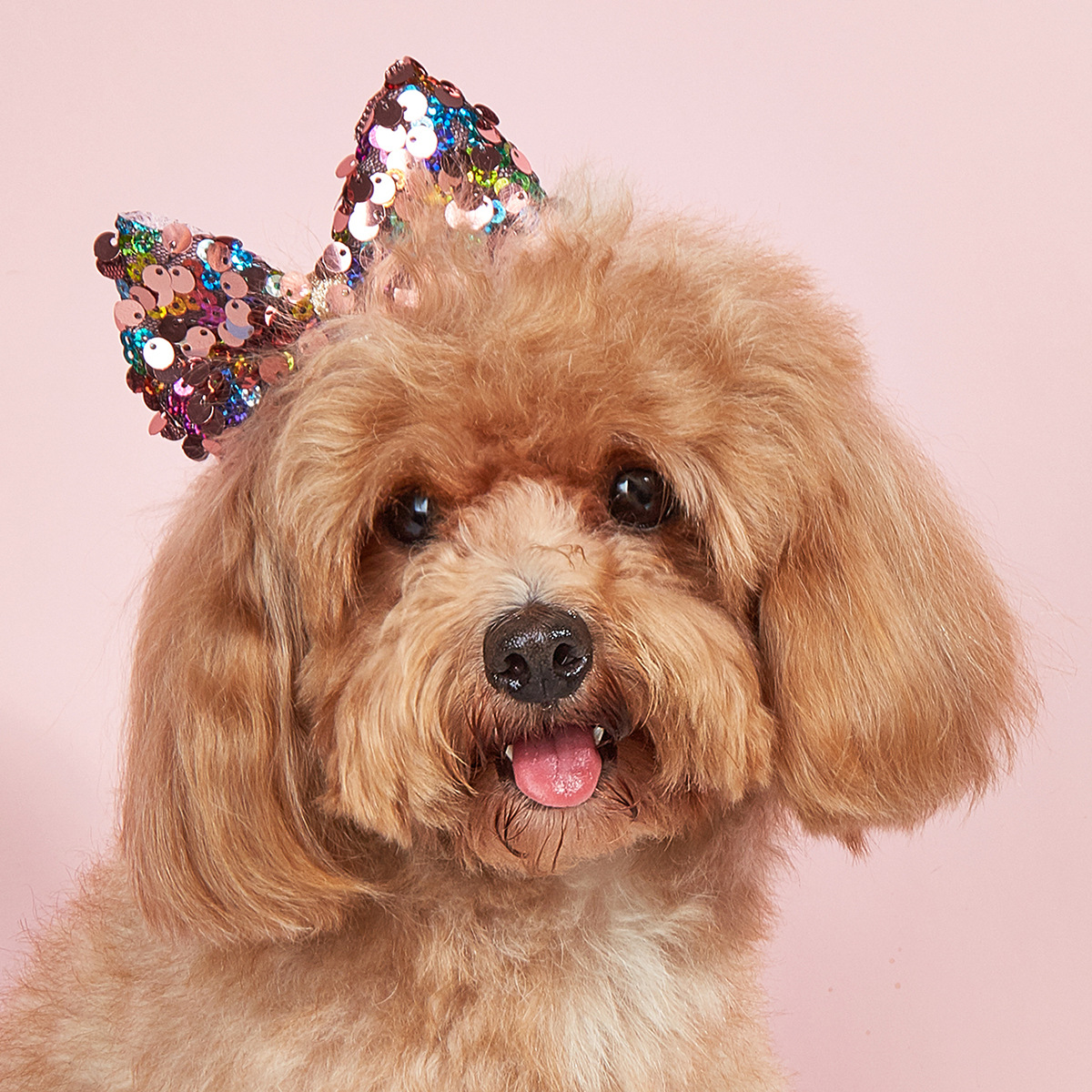 Pet Birthday Cat And Dog Bow, Cotton-filled Rabbit Ears, Three-dimensional Sequined Hairpin Hair Accessories, Dropshipping