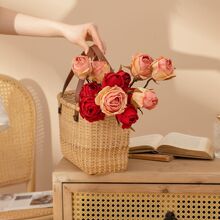 ���Ҽٻ�2ͷ����õ��INS���滨��ֲ����������װ��Ʒ�羳MW82101