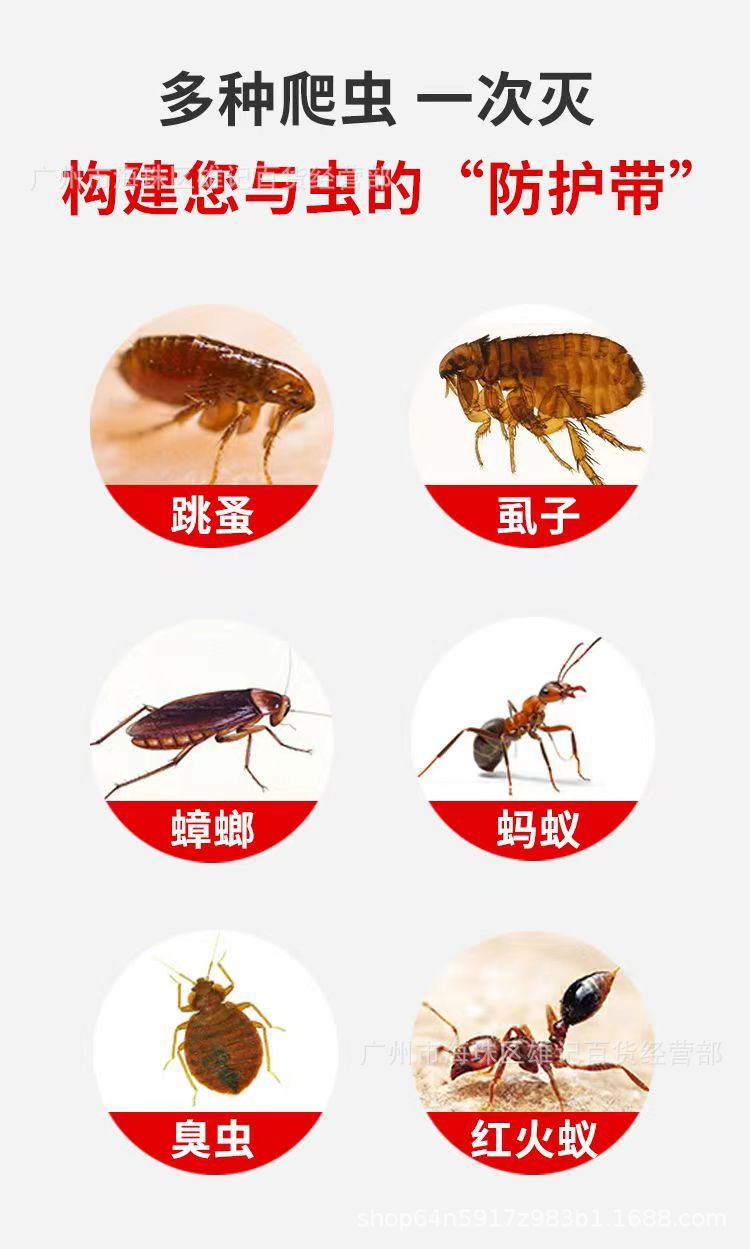 详情2.jpg