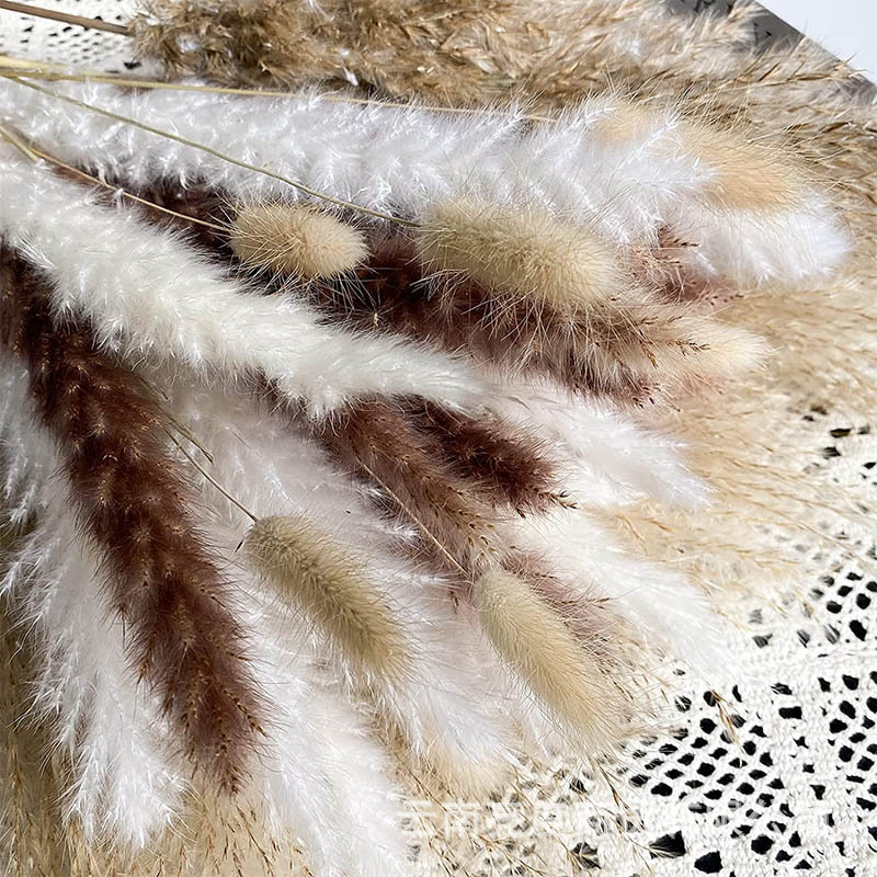 Pampas naturales ramo de flores secas cola de conejo hierba pequeña Reed polvo Reed madera estilo bohemio decoración del hogar