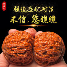 ��������ְ�������ִ��ղسߴ���O���@����������y�w֮��