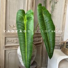 ����W�t�~ ��Ƭ���~�� 3D��ӡ�zƬ���w���Q�~�Ž��~�bzӰ����