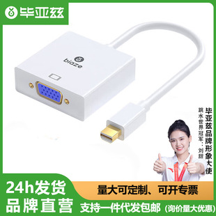 ����Ɲ Mini DP�DVGA�D�Q����Surface Mac