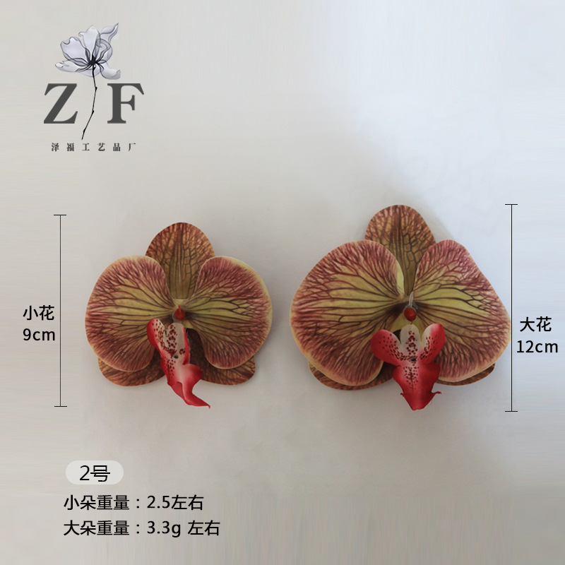 2호(대)